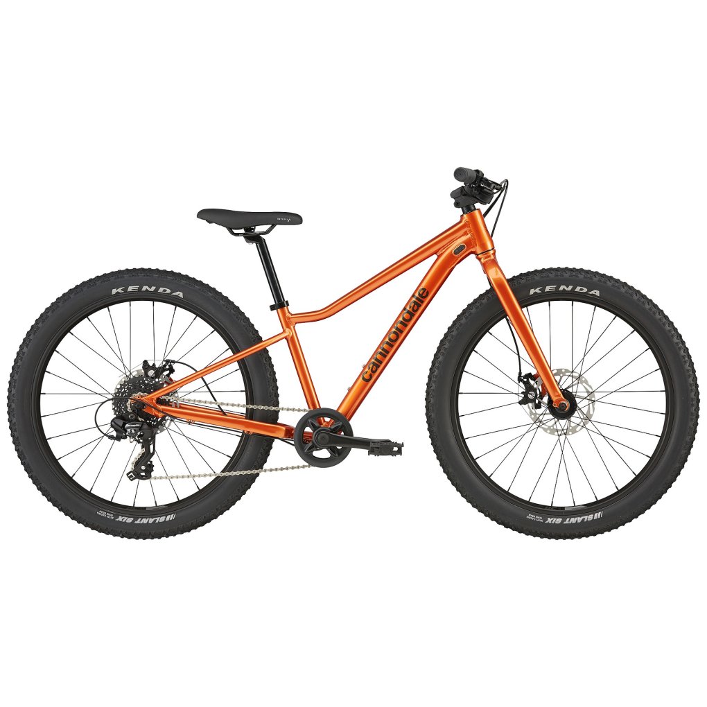 Купить Детский горный велосипед Cannondale KIDS TRAIL PLUS по цене
